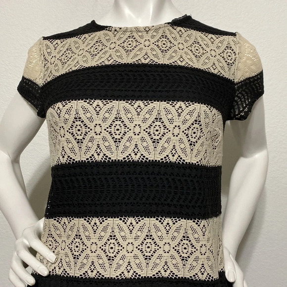 Maggy London Cream Black Striped Lace Sheath Dress - Picture 3 of 8